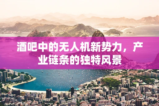酒吧中的无人机新势力，产业链条的独特风景