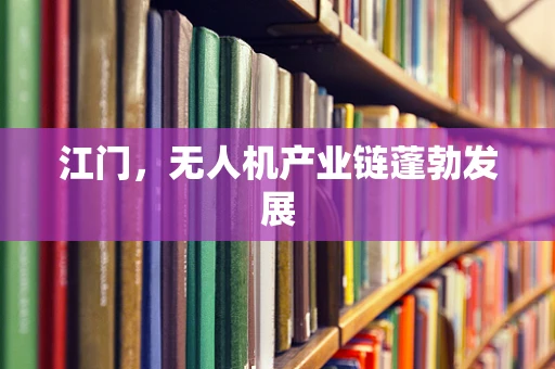 江门，无人机产业链蓬勃发展