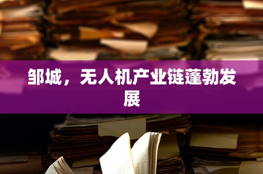 邹城，无人机产业链蓬勃发展