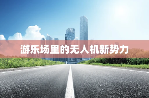 游乐场里的无人机新势力