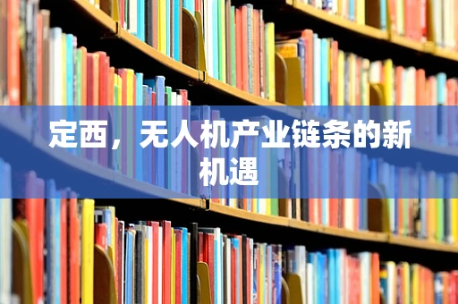 定西，无人机产业链条的新机遇