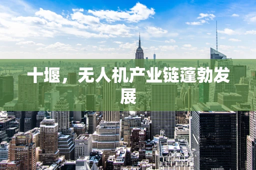十堰，无人机产业链蓬勃发展