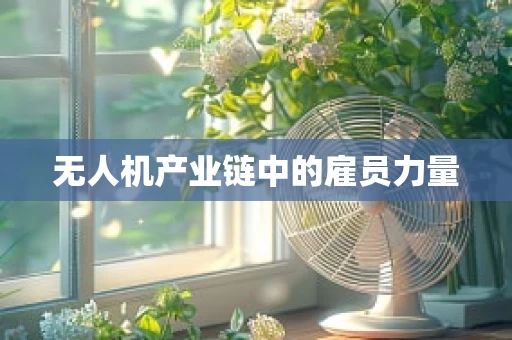 无人机产业链中的雇员力量