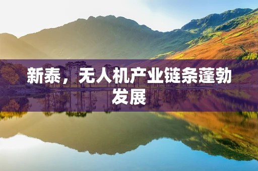 新泰，无人机产业链条蓬勃发展