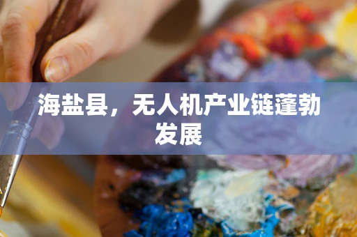 海盐县，无人机产业链蓬勃发展