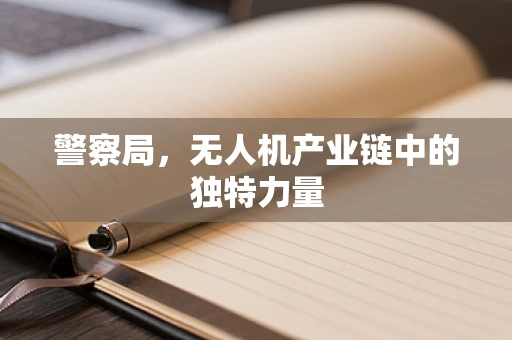 警察局，无人机产业链中的独特力量