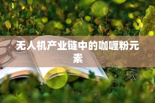 无人机产业链中的咖喱粉元素