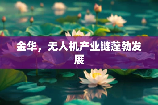 金华，无人机产业链蓬勃发展