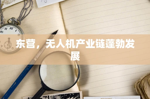 东营，无人机产业链蓬勃发展