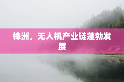 株洲，无人机产业链蓬勃发展