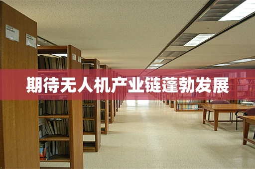 期待无人机产业链蓬勃发展