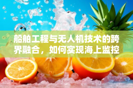 船舶工程与无人机技术的跨界融合，如何实现海上监控的智能化？