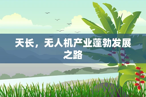 天长，无人机产业蓬勃发展之路