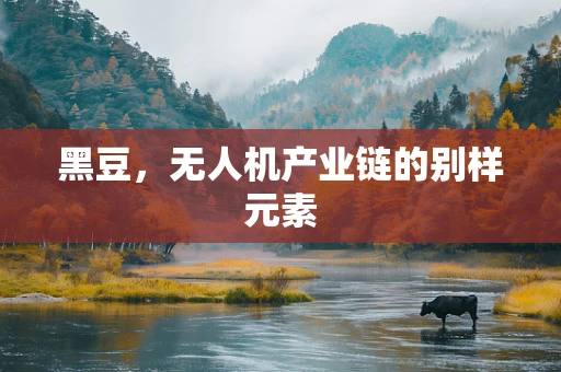 黑豆，无人机产业链的别样元素