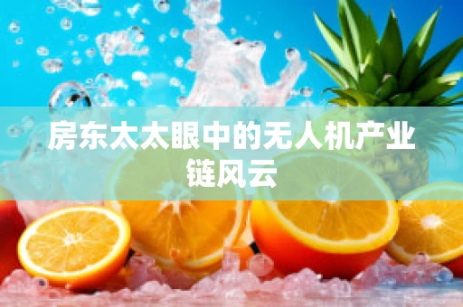房东太太眼中的无人机产业链风云