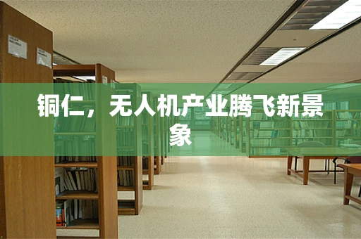 铜仁，无人机产业腾飞新景象