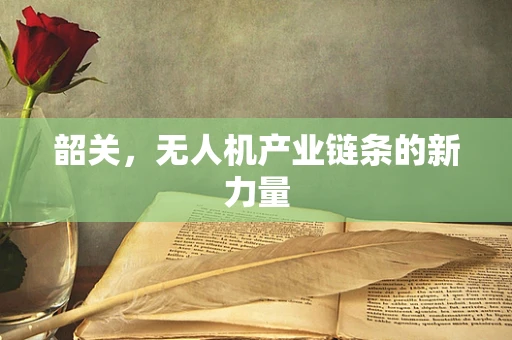 韶关，无人机产业链条的新力量