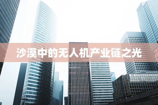 沙漠中的无人机产业链之光