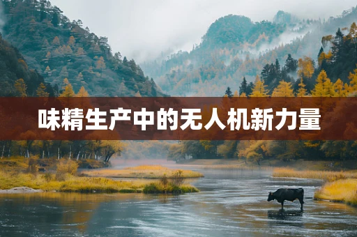 味精生产中的无人机新力量