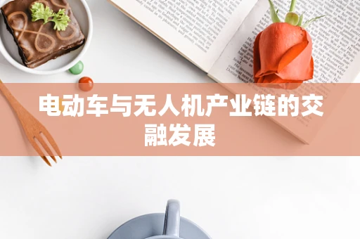 电动车与无人机产业链的交融发展
