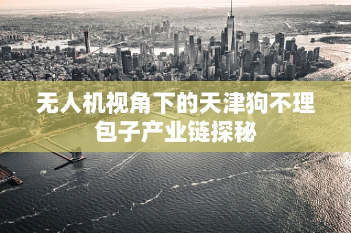 无人机视角下的天津狗不理包子产业链探秘