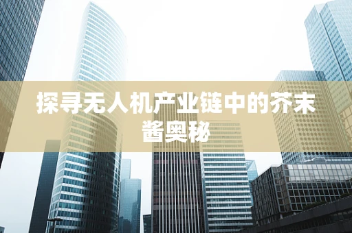 探寻无人机产业链中的芥末酱奥秘