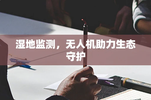 湿地监测，无人机助力生态守护