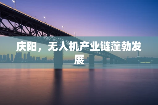 庆阳，无人机产业链蓬勃发展