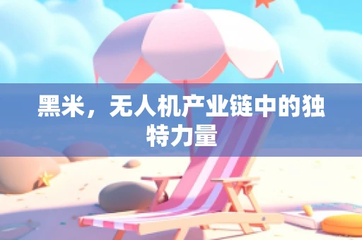 黑米，无人机产业链中的独特力量