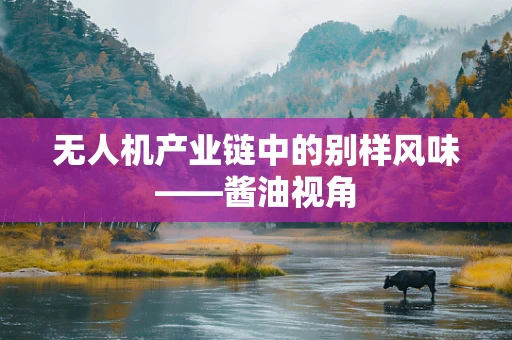 无人机产业链中的别样风味——酱油视角