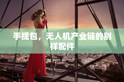 手提包，无人机产业链的别样配件