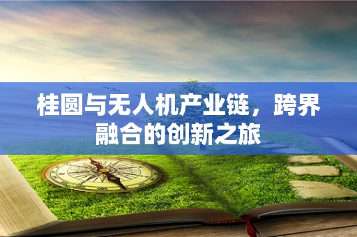 桂圆与无人机产业链，跨界融合的创新之旅