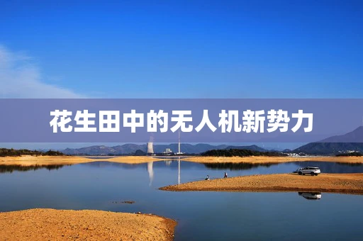 花生田中的无人机新势力