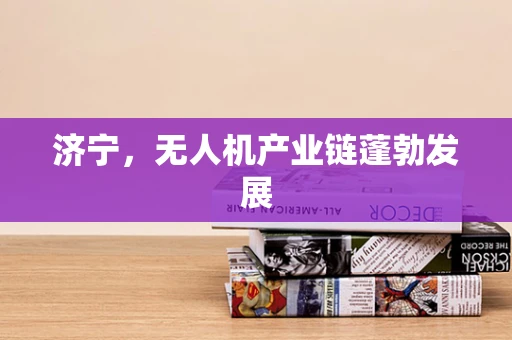济宁，无人机产业链蓬勃发展