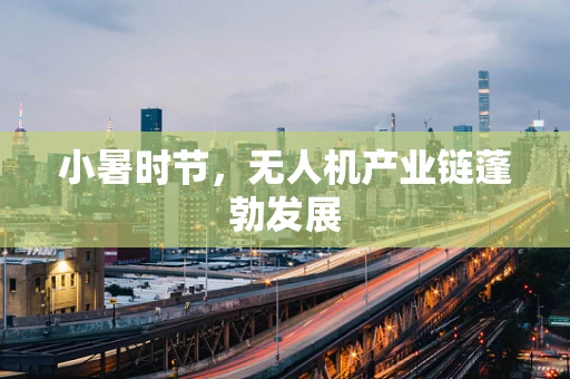 小暑时节，无人机产业链蓬勃发展