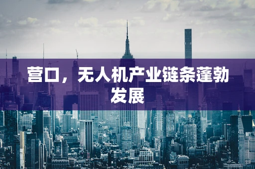 营口，无人机产业链条蓬勃发展