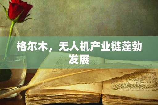格尔木，无人机产业链蓬勃发展