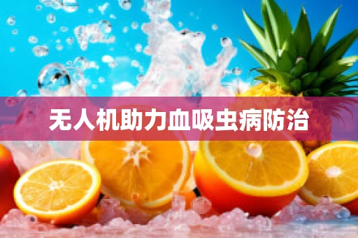 无人机助力血吸虫病防治