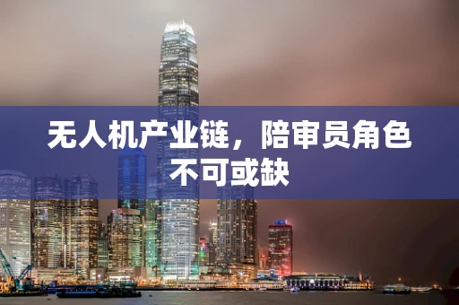 无人机产业链，陪审员角色不可或缺