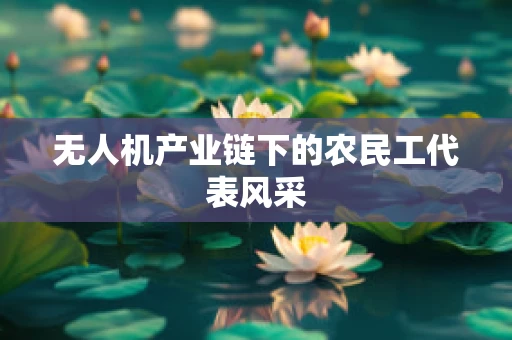 无人机产业链下的农民工代表风采