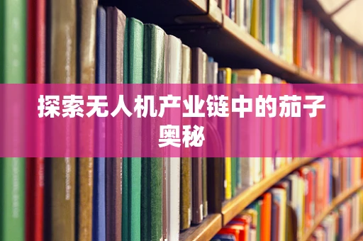 探索无人机产业链中的茄子奥秘