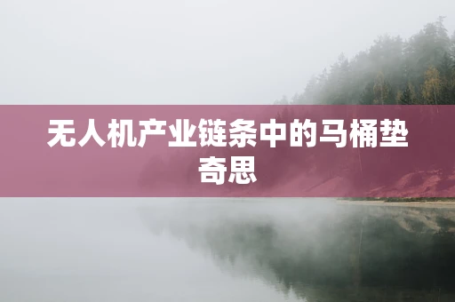无人机产业链条中的马桶垫奇思