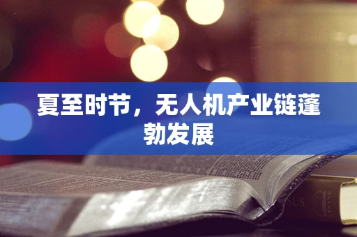 夏至时节，无人机产业链蓬勃发展