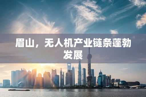 眉山，无人机产业链条蓬勃发展