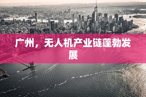 广州，无人机产业链蓬勃发展