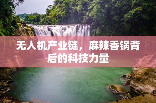 无人机产业链，麻辣香锅背后的科技力量