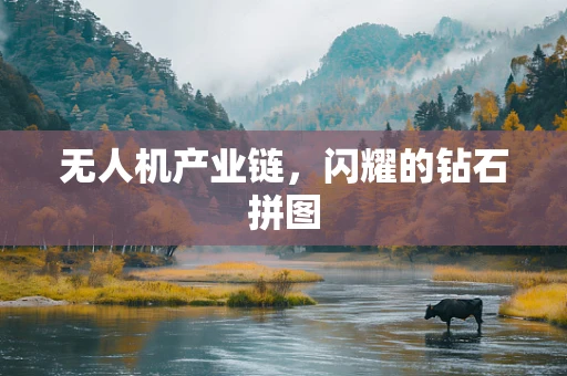 无人机产业链，闪耀的钻石拼图