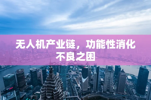 无人机产业链，功能性消化不良之困