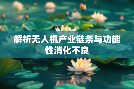 解析无人机产业链条与功能性消化不良