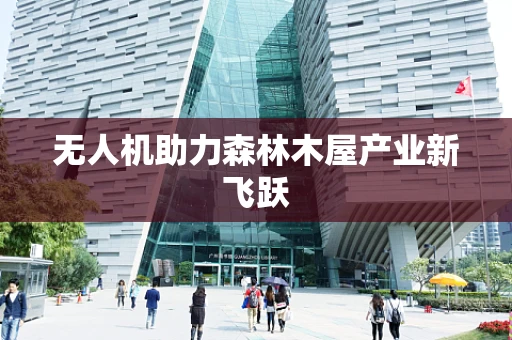 无人机助力森林木屋产业新飞跃